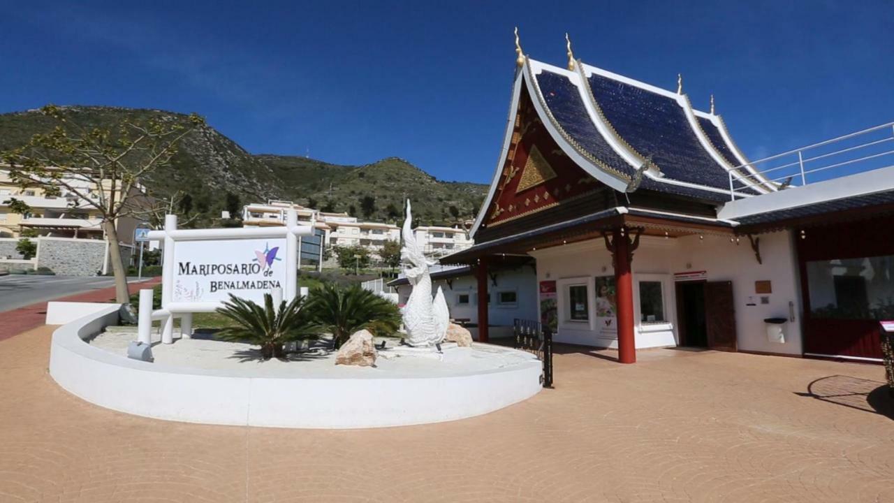 325 Agata Apartamentos - Piscina Y Playa -Canales De Tv Internacionales Benalmádena Exteriör bild